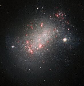 A Marvel of Galactic Morphology