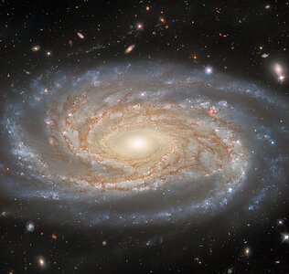 Investigating A Made-to-Measure Galaxy