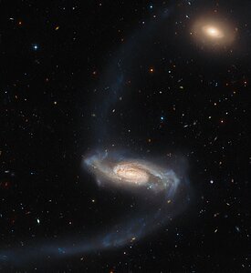 Hubble Spies a Long-Armed Galaxy