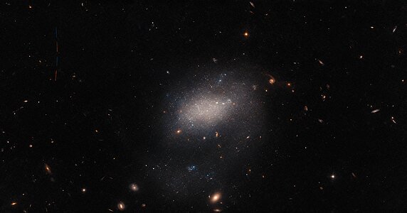 Visitor to a Galaxy