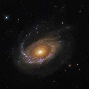 A jellyfish galaxy adrift