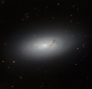 Measure of a great galactic disc