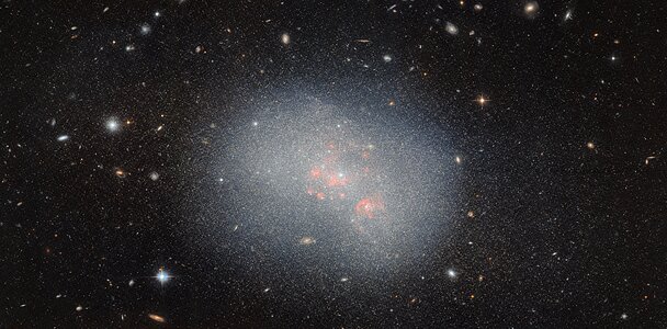 Assembling the largest galaxies