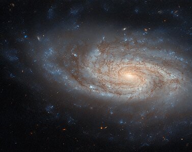 An island universe
