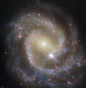 Paired pinwheel seen solo