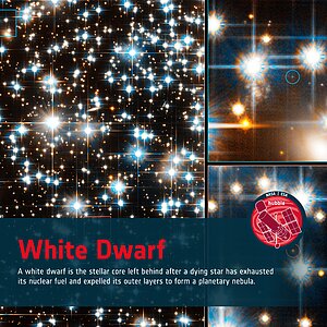 Word Bank: White Dwarf