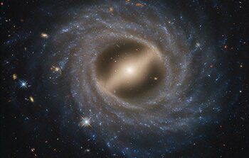 ann.main_visual.title