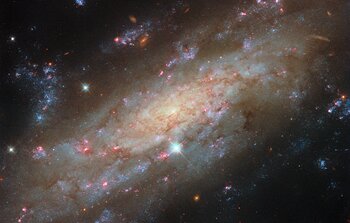 Starry spiral in a familiar neighbourhood