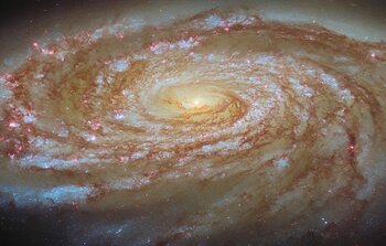 Journey to the centre of a galaxy cluster