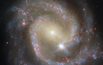 Paired pinwheel seen solo