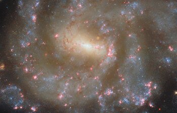 Starry spectacle