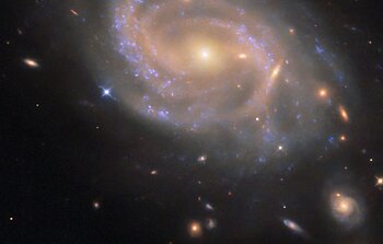 Swirling spiral in Hydra