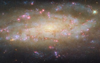 A galaxy with lots to see