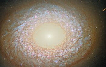 Spiral, elliptical or neither?
