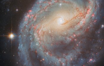 Starbursting centre