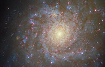 Spiralling star factory