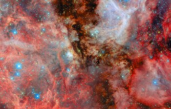 A neighbouring vista of stellar birth