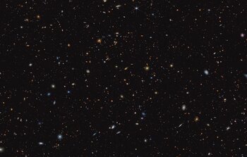 ann.main_visual.title