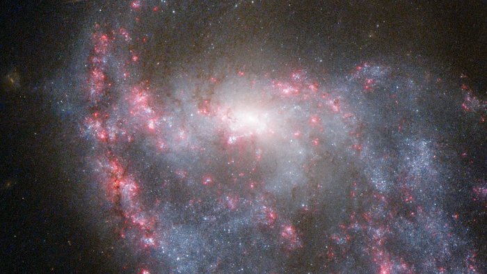 Hubble view of NGC 922