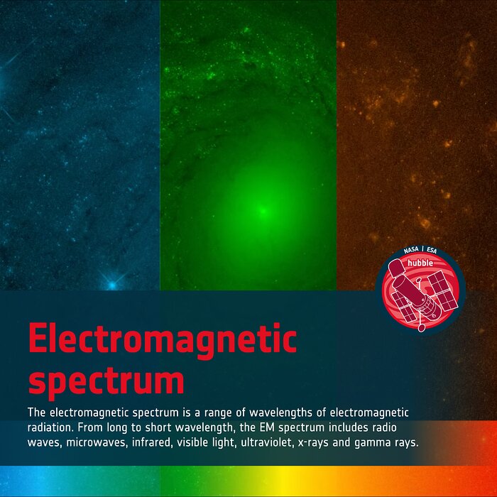 Word Bank: Electromagnetic Spectrum