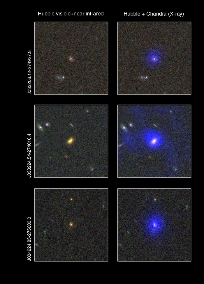 Dust-enshrouded supermassive black holes