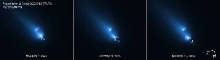 Comet C/2025 K1 (ATLAS): November 2025 (annotated)