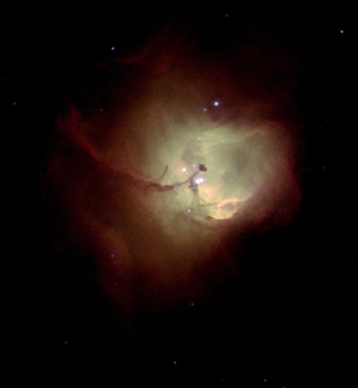 Nebula N 81