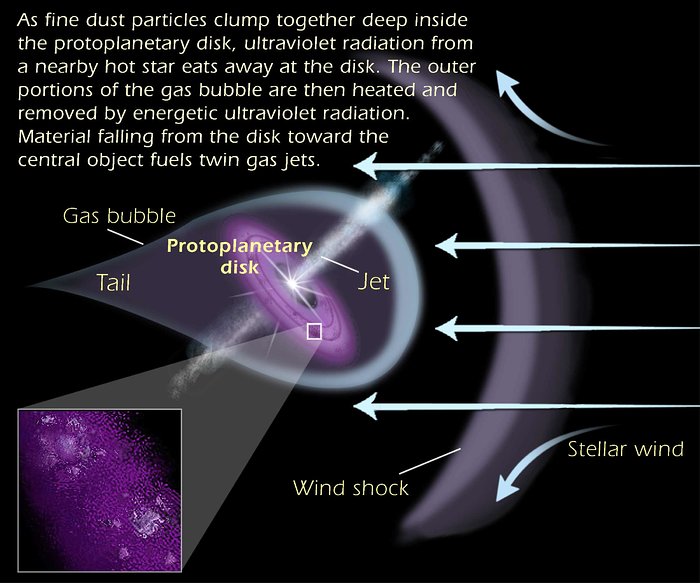 Anatomy of a protoplanetary disk