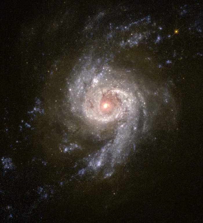 Baby Boom in Galaxy NGC 3310