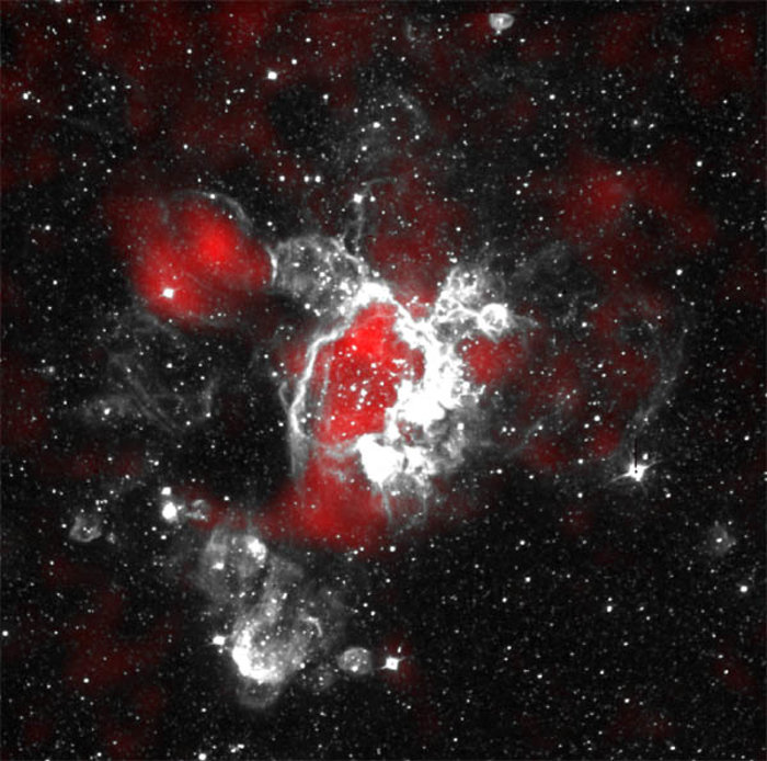 Gaseous Streamers Flutter in Stellar Breeze