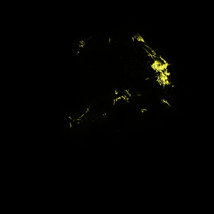 Hubble Space Telescope Visible-Light Data of Kepler's Supernova Remnant