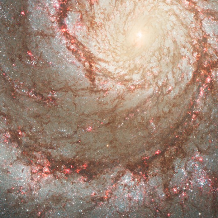 Section of M51 with progenitor star