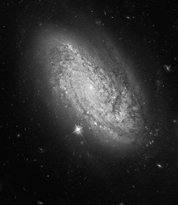 HST ACS/WFC image of NGC 3021