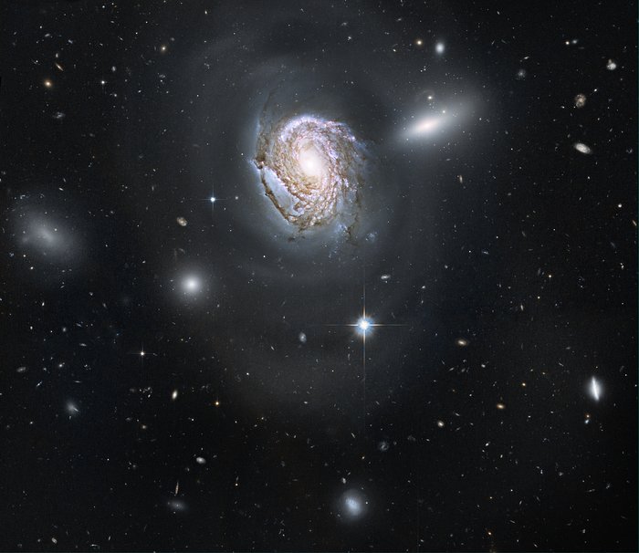 Spiral galaxy NGC 4911 in the Coma cluster