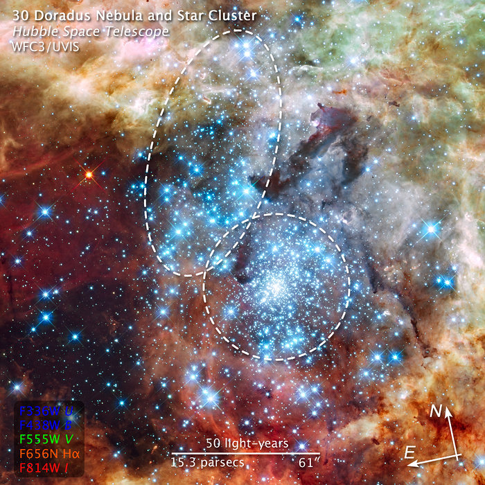 Compass and scale image of merging star clusters in 30 Doradus