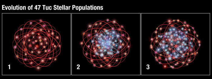 Evolution of 47 Tuc stellar populations