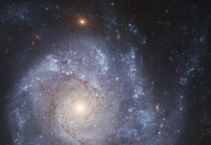 Spiral galaxy NGC 1309