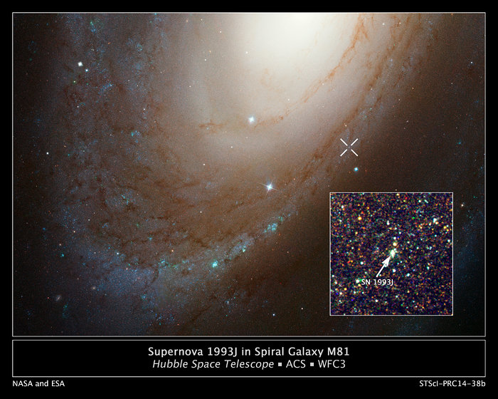 Supernova 1993J in spiral galaxy M81