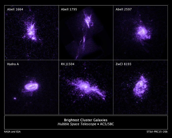 Brightest Cluster Galaxies