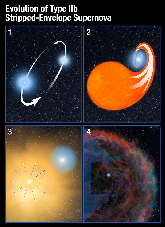 Evolution of Type IIb Stripped-Envelope Supernova