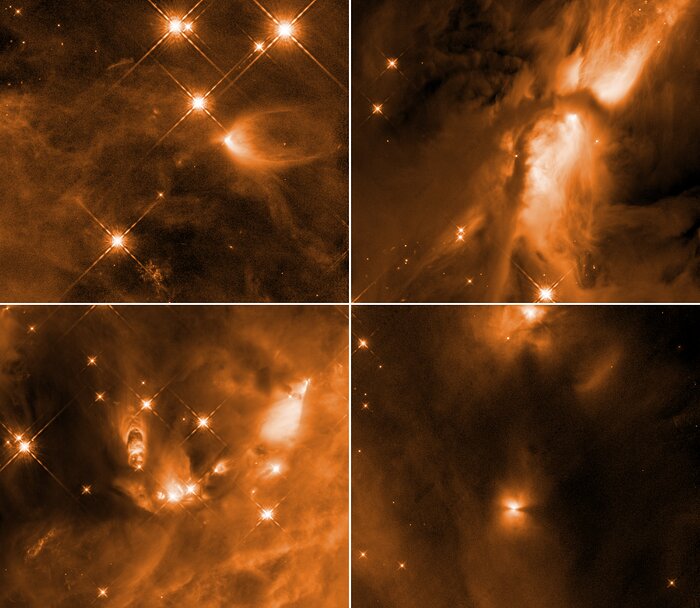 Infant Stars in Orion