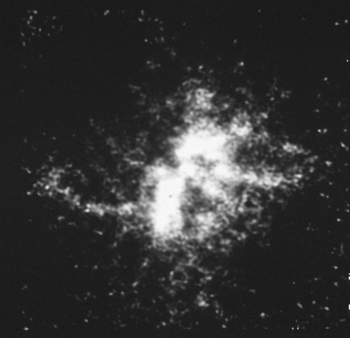 A planetary Nebula (N66) in the Large Magellanic Cloud