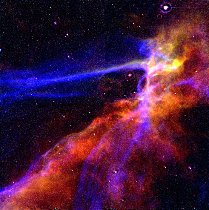 Cygnus Loop