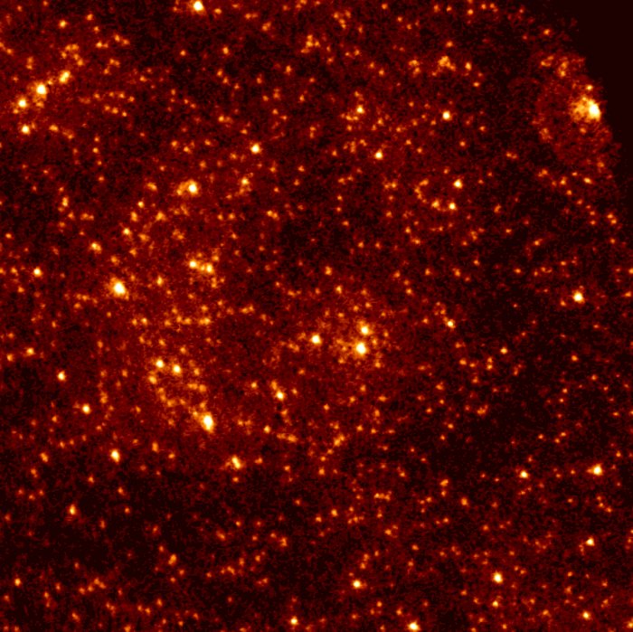 47 Tucanae FOC Pre-COSTAR image