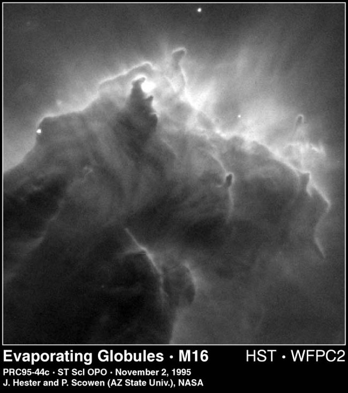 Evaporating globules in M16