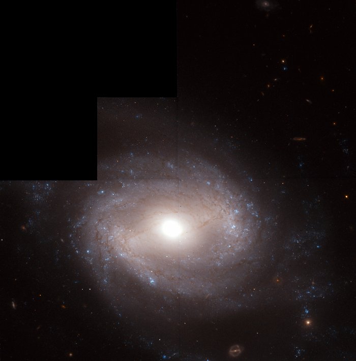 Distance Measurements to a Type-Ia Supernova-Bearing Galaxy