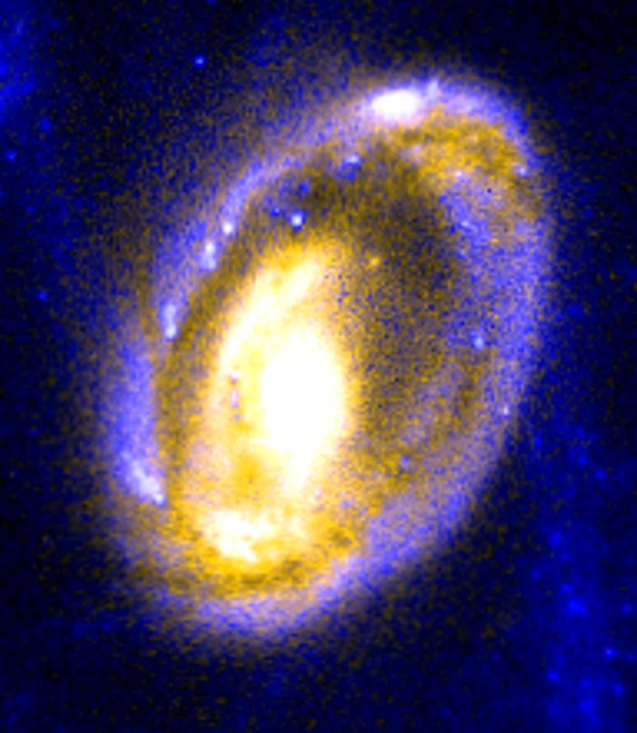 The cartwheel galaxy