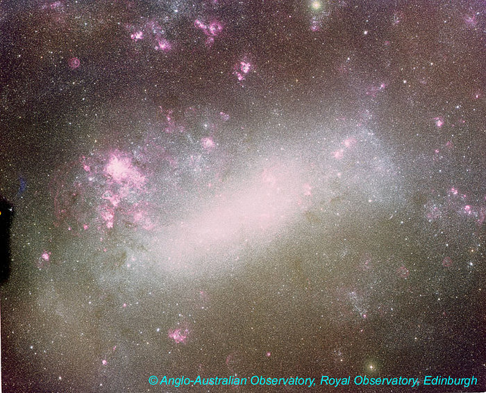 The Large Magellanic Cloud