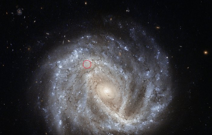 A curious supernova in NGC 2441 (annotated)