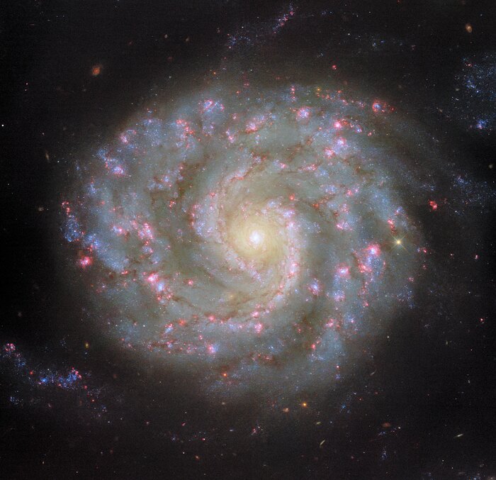 Face to face with a spiral’s arms